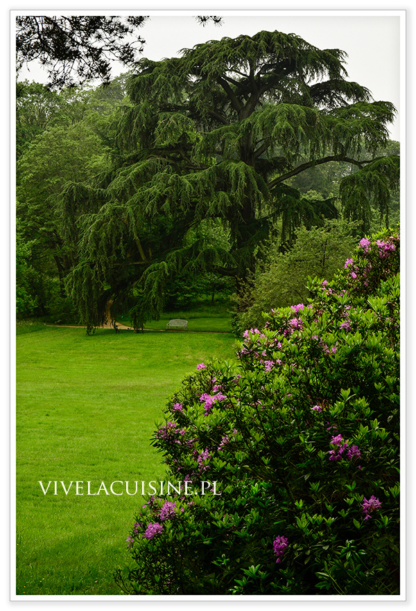 vivelacuisinepl_chateaubriand_7_882