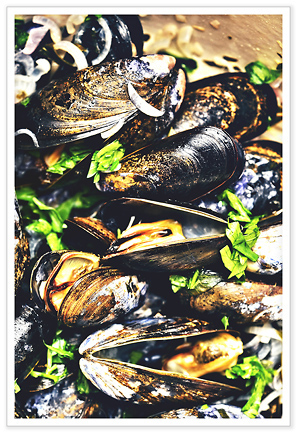 Moules marinieres – 